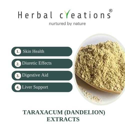 Taraxacum (Dandelion) Supplier & Manufacturer